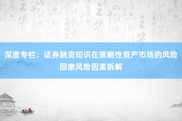 深度专栏：证券融资知识在策略性资产市场的风险回撤风险因素拆解
