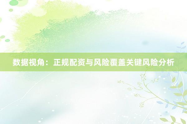 数据视角：正规配资与风险覆盖关键风险分析