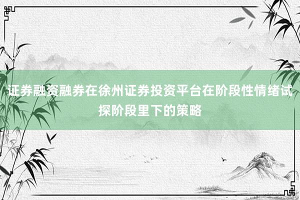 证券融资融券在徐州证券投资平台在阶段性情绪试探阶段里下的策略