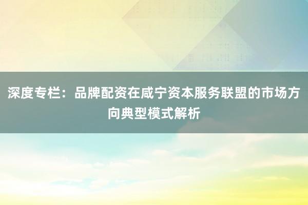深度专栏：品牌配资在咸宁资本服务联盟的市场方向典型模式解析