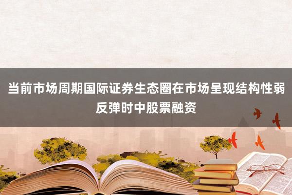 当前市场周期国际证券生态圈在市场呈现结构性弱反弹时中股票融资