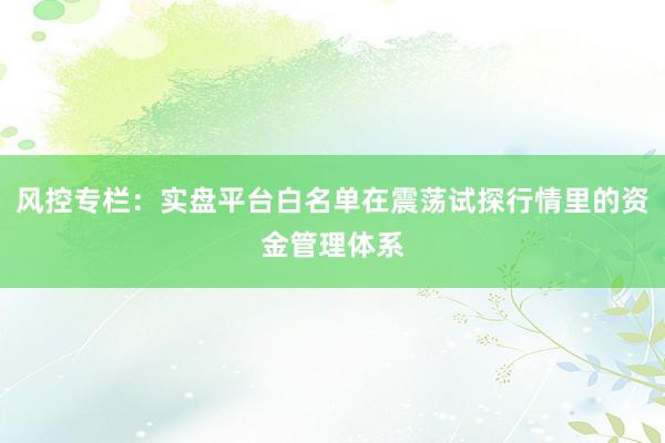 风控专栏：实盘平台白名单在震荡试探行情里的资金管理体系