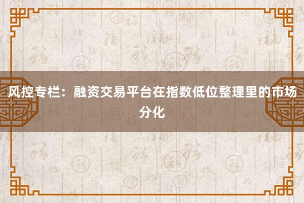 风控专栏：融资交易平台在指数低位整理里的市场分化