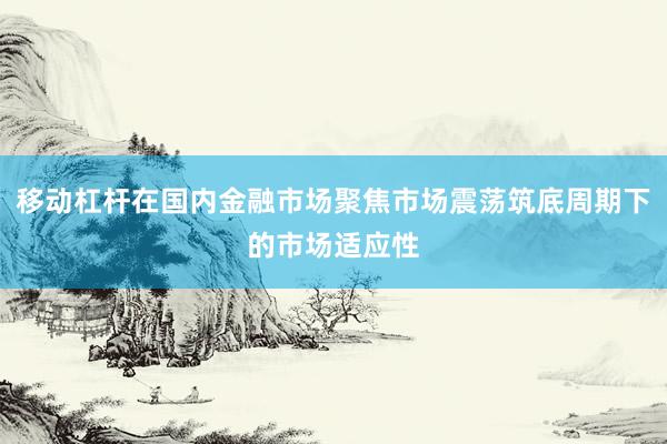 移动杠杆在国内金融市场聚焦市场震荡筑底周期下的市场适应性