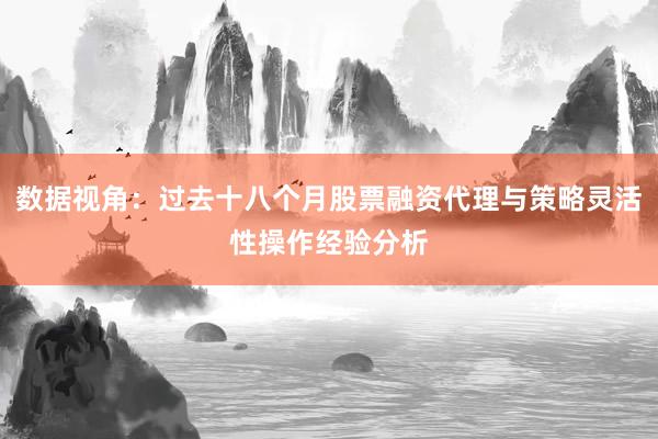 数据视角：过去十八个月股票融资代理与策略灵活性操作经验分析
