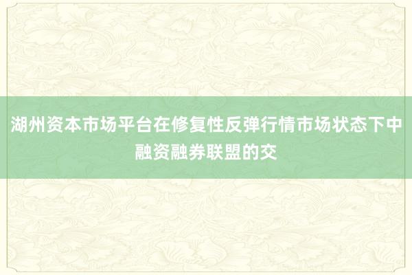 湖州资本市场平台在修复性反弹行情市场状态下中融资融券联盟的交