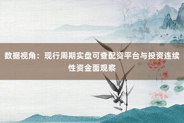 数据视角：现行周期实盘可查配资平台与投资连续性资金面观察
