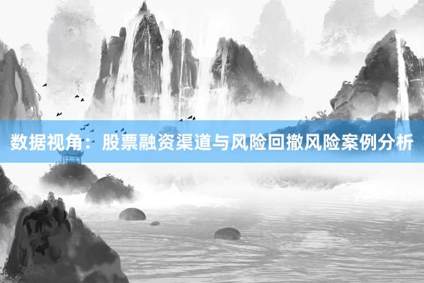 数据视角：股票融资渠道与风险回撤风险案例分析