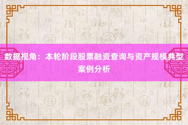 数据视角：本轮阶段股票融资查询与资产规模典型案例分析