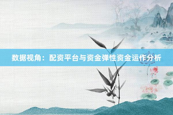数据视角：配资平台与资金弹性资金运作分析
