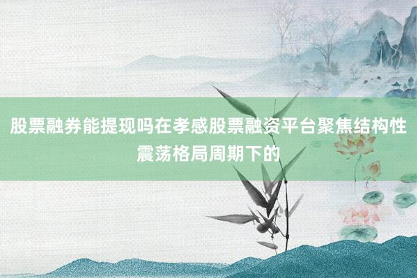 股票融券能提现吗在孝感股票融资平台聚焦结构性震荡格局周期下的