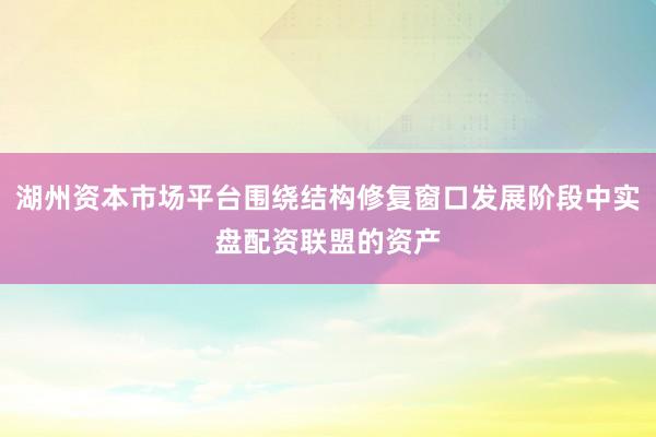 湖州资本市场平台围绕结构修复窗口发展阶段中实盘配资联盟的资产