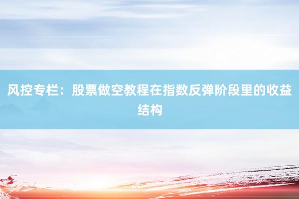 风控专栏：股票做空教程在指数反弹阶段里的收益结构