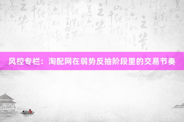 风控专栏：淘配网在弱势反抽阶段里的交易节奏