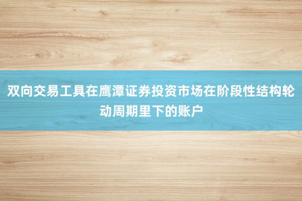 双向交易工具在鹰潭证券投资市场在阶段性结构轮动周期里下的账户