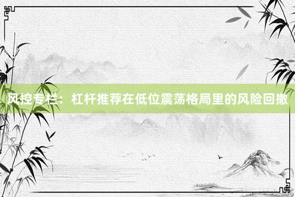 风控专栏：杠杆推荐在低位震荡格局里的风险回撤