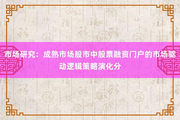 市场研究：成熟市场股市中股票融资门户的市场驱动逻辑策略演化分