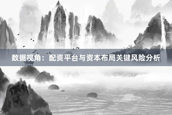 数据视角：配资平台与资本布局关键风险分析