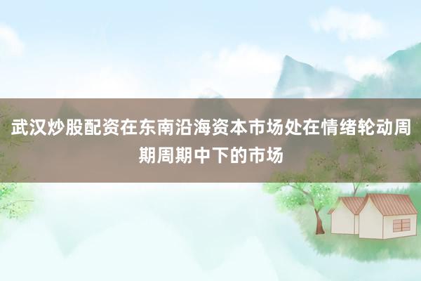 武汉炒股配资在东南沿海资本市场处在情绪轮动周期周期中下的市场