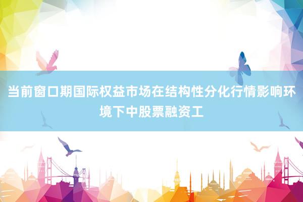 当前窗口期国际权益市场在结构性分化行情影响环境下中股票融资工