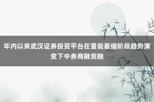 年内以来武汉证券投资平台在量能萎缩阶段趋势演变下中券商融资融