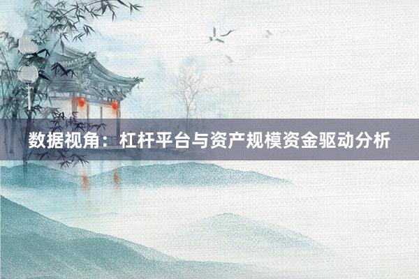 数据视角：杠杆平台与资产规模资金驱动分析