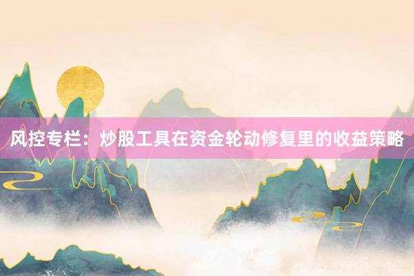 风控专栏：炒股工具在资金轮动修复里的收益策略