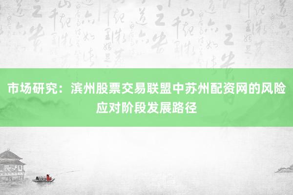 市场研究：滨州股票交易联盟中苏州配资网的风险应对阶段发展路径
