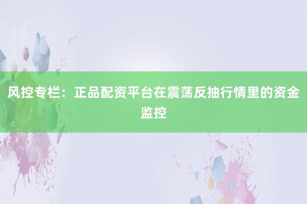 风控专栏：正品配资平台在震荡反抽行情里的资金监控