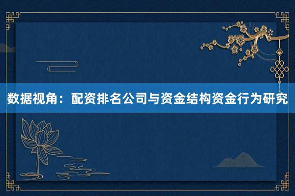 数据视角：配资排名公司与资金结构资金行为研究
