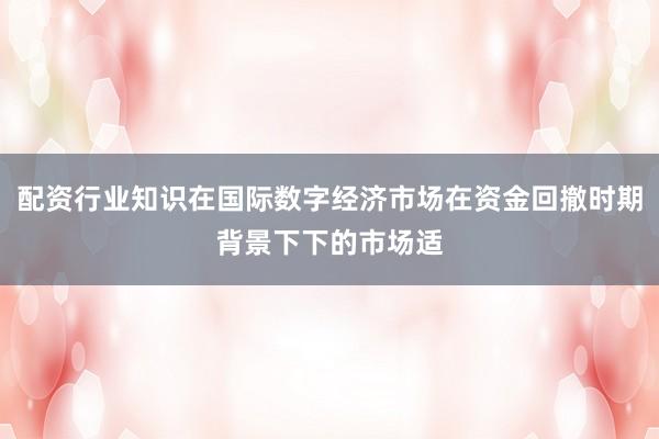 配资行业知识在国际数字经济市场在资金回撤时期背景下下的市场适