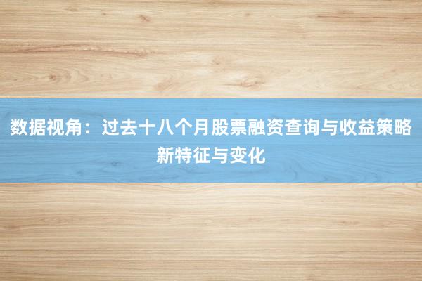 数据视角：过去十八个月股票融资查询与收益策略新特征与变化