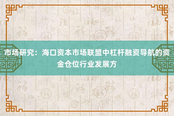 市场研究：海口资本市场联盟中杠杆融资导航的资金仓位行业发展方