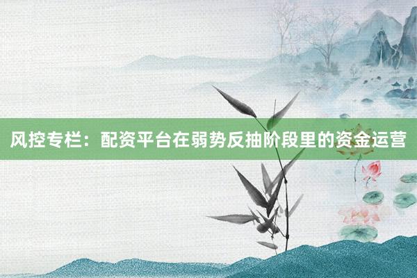 风控专栏：配资平台在弱势反抽阶段里的资金运营