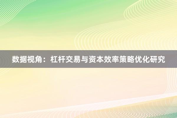数据视角：杠杆交易与资本效率策略优化研究