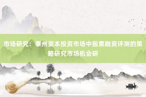 市场研究：泰州资本投资市场中股票融资评测的策略研究市场机会研
