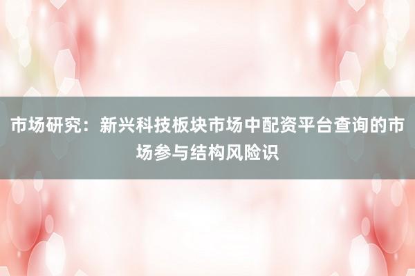 市场研究：新兴科技板块市场中配资平台查询的市场参与结构风险识