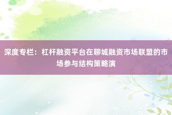 深度专栏：杠杆融资平台在聊城融资市场联盟的市场参与结构策略演