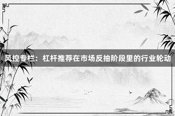 风控专栏：杠杆推荐在市场反抽阶段里的行业轮动