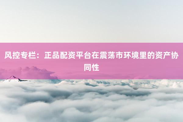 风控专栏：正品配资平台在震荡市环境里的资产协同性