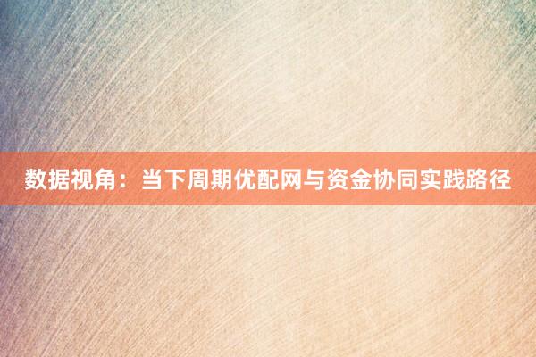 数据视角：当下周期优配网与资金协同实践路径