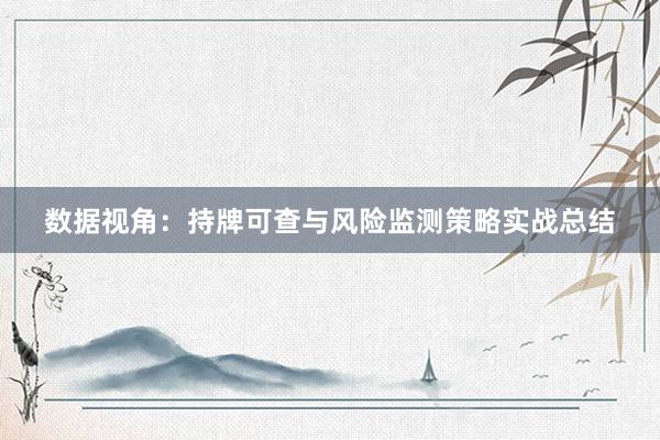 数据视角：持牌可查与风险监测策略实战总结