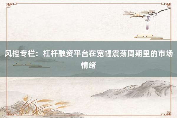 风控专栏：杠杆融资平台在宽幅震荡周期里的市场情绪
