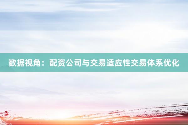 数据视角：配资公司与交易适应性交易体系优化