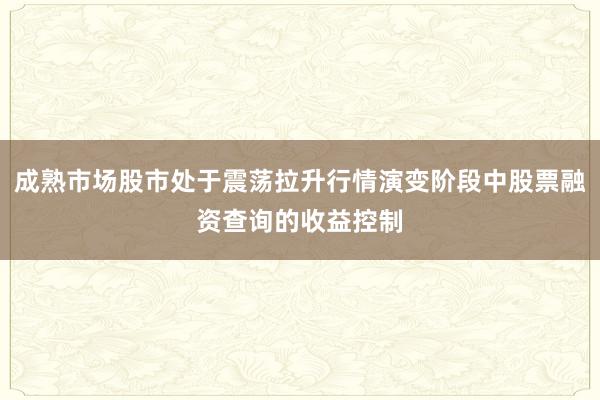 成熟市场股市处于震荡拉升行情演变阶段中股票融资查询的收益控制