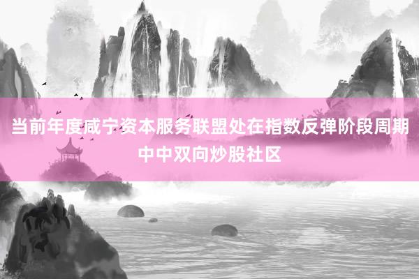 当前年度咸宁资本服务联盟处在指数反弹阶段周期中中双向炒股社区