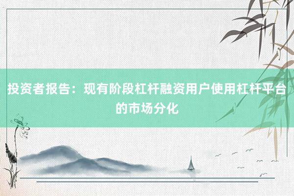 投资者报告：现有阶段杠杆融资用户使用杠杆平台的市场分化
