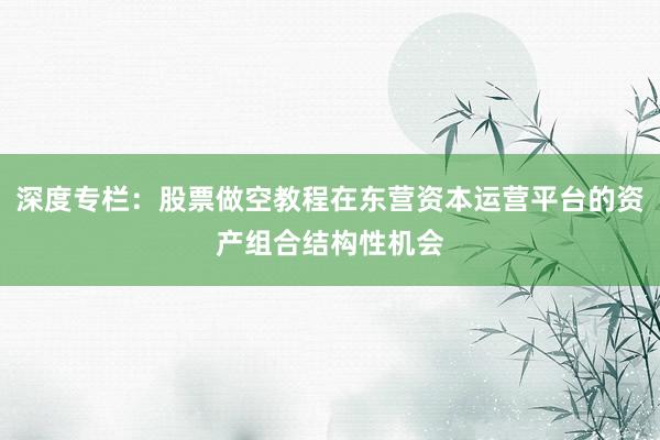 深度专栏：股票做空教程在东营资本运营平台的资产组合结构性机会