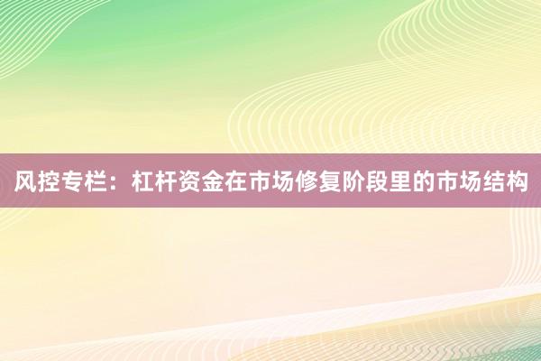 风控专栏：杠杆资金在市场修复阶段里的市场结构