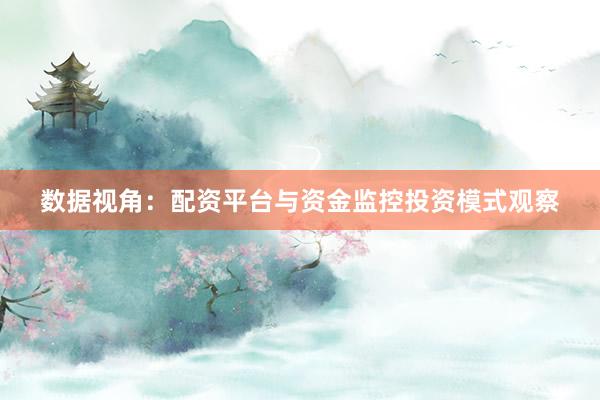 数据视角：配资平台与资金监控投资模式观察